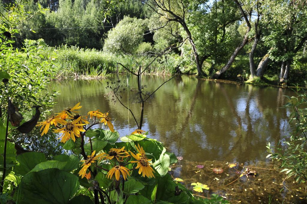 Agroturystyka Orzechowe Wzgorze Orzechowo  Exterior foto